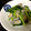 いちごスロータクシー's cooksnap of when they made 余った野菜とあさりの酒蒸し.