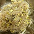 hykumi's cooksnap of when they made 絶品 大豆の豆もやし ピリ辛ナムル.
