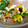 マダムカフェ♡'s cooksnap of when they made 【時短・簡単】ピーマンの卵焼き.