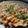 プニのふ04's cooksnap of when they made いか焼き。始めました☆ψ(‾▽‾)ψ.