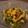 IBIZA0624's cooksnap of when they made 菜の花とゆで卵の白和え風マカロニサラダ♡.