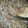 クックW2XCQ6☆'s cooksnap of when they made 作りおき✳︎洋風肉そぼろ.