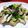 ☆☆あっきん☆☆'s cooksnap of when they made 鶏もも肉で★からしマヨチキンソテー★.