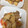 トロイメライ♬'s cooksnap of when they made たけのこと豚肉のオイスター炒め.