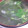 こむぎぱくぱく's cooksnap of when they made 豆苗とわかめのみそ汁.