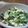 *antica*'s cooksnap of when they made ２歳児も喜ぶ♪ほうれん草の白和え.