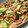 ｒｏｓｅｒｏｓｅ's cooksnap of when they made 牛肉と白ネギのオイスターソース炒め.
