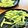 トクライ's cooksnap of when they made ちょっと変わった!?パスタの調理法☆.
