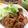 ゆーこリン♡'s cooksnap of when they made 人気レシピ♪甘酒入り鯖のカレー竜田揚げ.