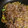 donuts★'s cooksnap of when they made 簡単！旬の牡蠣deふわふわお好み焼き♪.