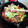 腹ペコクックン's cooksnap of when they made たっぷり野菜と豚肉のオイスターソース炒め.