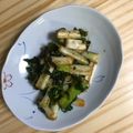 クック782FTA☆'s cooksnap of when they made ねぎ大量消費、ねぎのねぎまみれ.