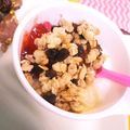 choco831's cooksnap of when they made 至福のヨーグルトの食べ方.