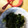 のんけんな's cooksnap of when they made 旬を食べたい！生ワカメとワケギの酢味噌.