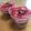 かほトトLOVE's cooksnap of when they made ふんわり濃厚チョコムース.