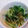 みかんうどん131's cooksnap of when they made 簡単！春菊と桜海老の胡麻和え.