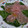 Ocean_ray's cooksnap of when they made ほうれん草と生ハムのサラダ.