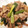 クックV4WJS0☆'s cooksnap of when they made ネギ焼き.