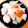 komomokomo's cooksnap of when they made あごだしつゆで、肉じゃが.