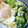 ☆ありか358☆'s cooksnap of when they made ネギ焼き.