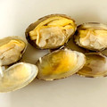 xiatian's cooksnap of when they made あさりの砂抜き 裏ワザ ふっくら.