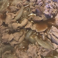 にゃんこりんご's cooksnap of when they made 簡単！豚丼☆とろとろ玉葱.