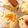 Ramm。's cooksnap of when they made 簡単に作れる紅茶のスコーン.