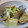 はまれい's cooksnap of when they made 白菜とあさりの煮びたし.