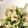 24apples's cooksnap of when they made ほうれん草の卵とじ。.