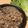 すのゆ's cooksnap of when they made サニーレタスの豚そぼろ納豆包み.