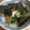 クック00N8WZ☆'s cooksnap of when they made なめこと春菊のみぞれ和え.