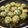 ゆうろくろう's cooksnap of when they made ✿ほうれん草の鶏団子＊和風あんかけ✿.