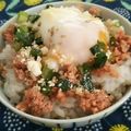 ＊sunlight＊'s cooksnap of when they made 鮭そぼろと大葉の粉チーズ温玉丼♪.