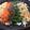 tsukimamke's cooksnap of when they made ホットプレートでビビンバ.