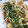 lovemoco's cooksnap of when they made おからのもっちもち揚げたこやき風.