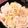 BJ88's cooksnap of when they made にんにく香る白菜豚バラミルフィーユ☆.