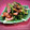 inyako's cooksnap of when they made ☆ハマる！クレソンと舞茸のベーコン炒め☆.
