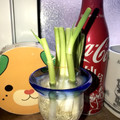 へい♡ゆー♡'s cooksnap of when they made ネギの育て方.
