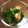 ななお_k's cooksnap of when they made 5分レシピ！菜の花とお麸のゴマ和え.