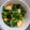 クックZCV6BF☆'s cooksnap of when they made 菜の花とゆでたまごのゴママヨサラダ.