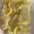 ma___111's cooksnap of when they made レンジで簡単！キャベツのコンソメ煮.
