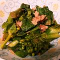 ピチョミ's cooksnap of when they made レンジで簡単お弁当にも 菜の花のツナ和え.