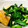 クックYO6D7B☆'s cooksnap of when they made 【簡単】ニラと厚揚げ豆腐★.