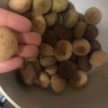 しなの_がわ's cooksnap of when they made 家にあるものだけで簡単！絶品スノーボール.