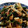 クックTLDS2A☆'s cooksnap of when they made ワケギとイカの酢味噌和え.