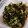 るてぃす's cooksnap of when they made ふきのとうのごま和え.