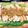 redeagle's cooksnap of when they made あら簡単♪棒棒鶏のタレ.