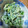 ☆マキプー☆'s cooksnap of when they made 菜の花の胡麻からしマヨ和え.