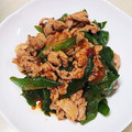 amjkao's cooksnap of when they made 節約！ 長ネギ青い部分と豚こま炒め.