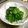 卯月のうさぎ２０１４'s cooksnap of when they made 法蓮草のお浸しも塩レモンでさっぱり和え.